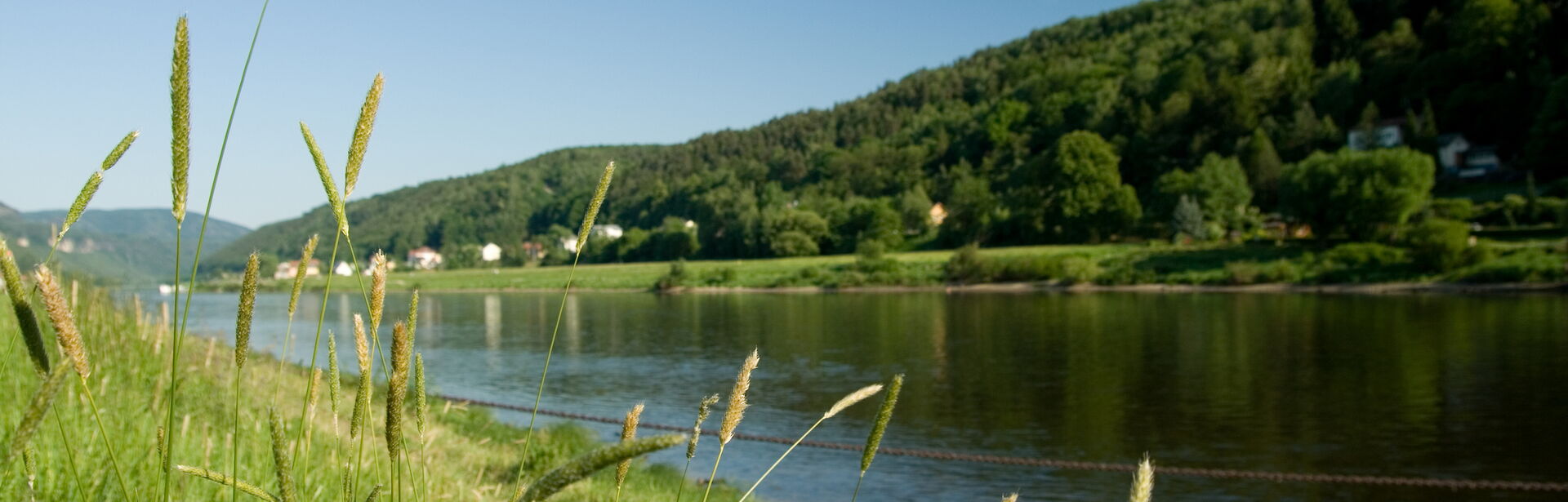 Elbufer in Bad Schandau in der Sächsischen Schweiz